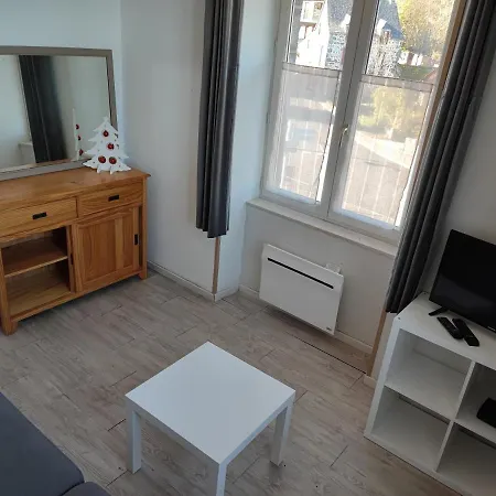 Ferienwohnung F3, 3 Pers - Proche Centre Historique Besse-et-Saint-Anastaise Exterior foto